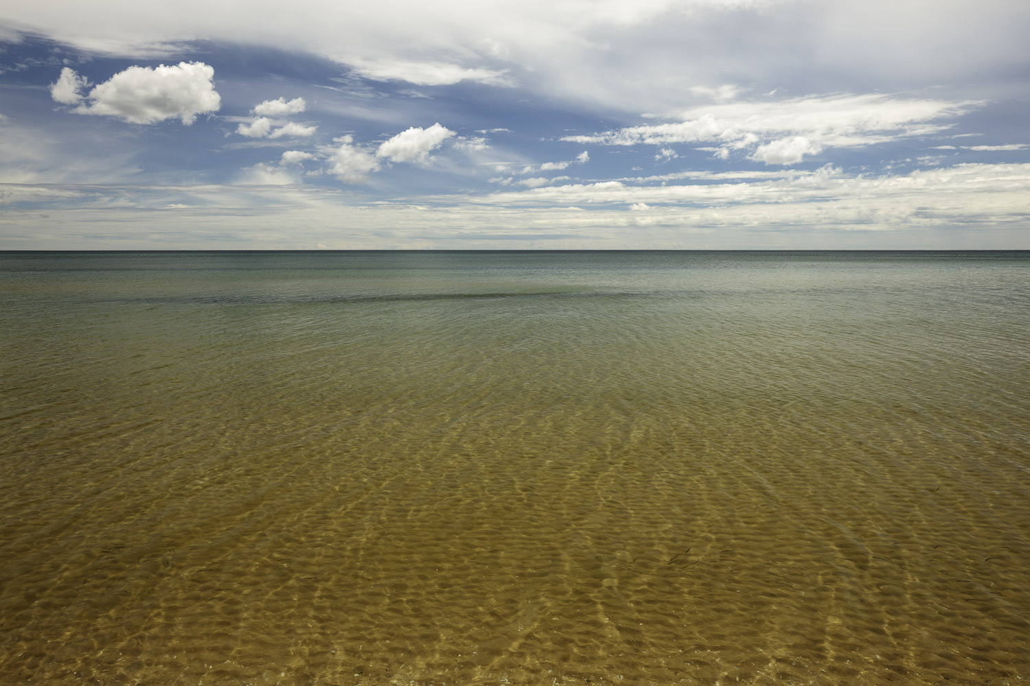 Almost Tropical – Image 1