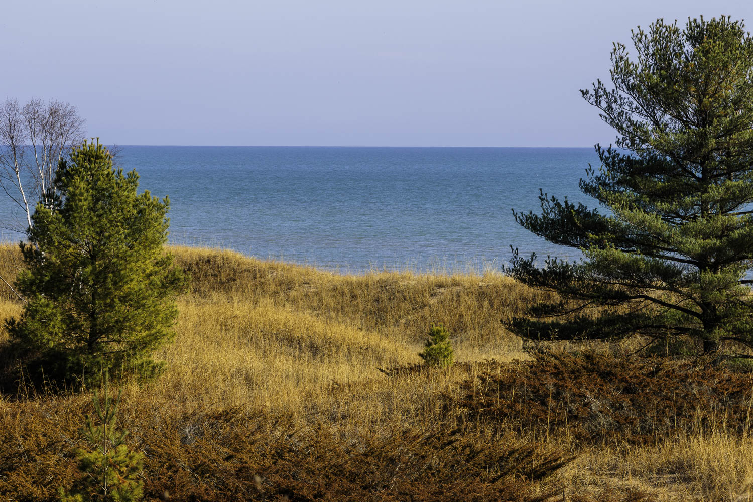 View from the Dunes – Image 1