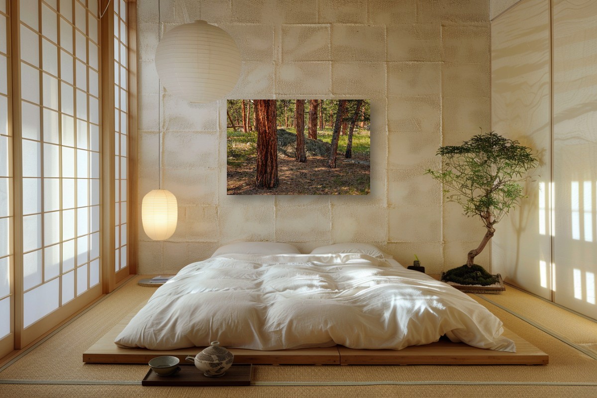 Ponderosa Pine Forest – Image 4