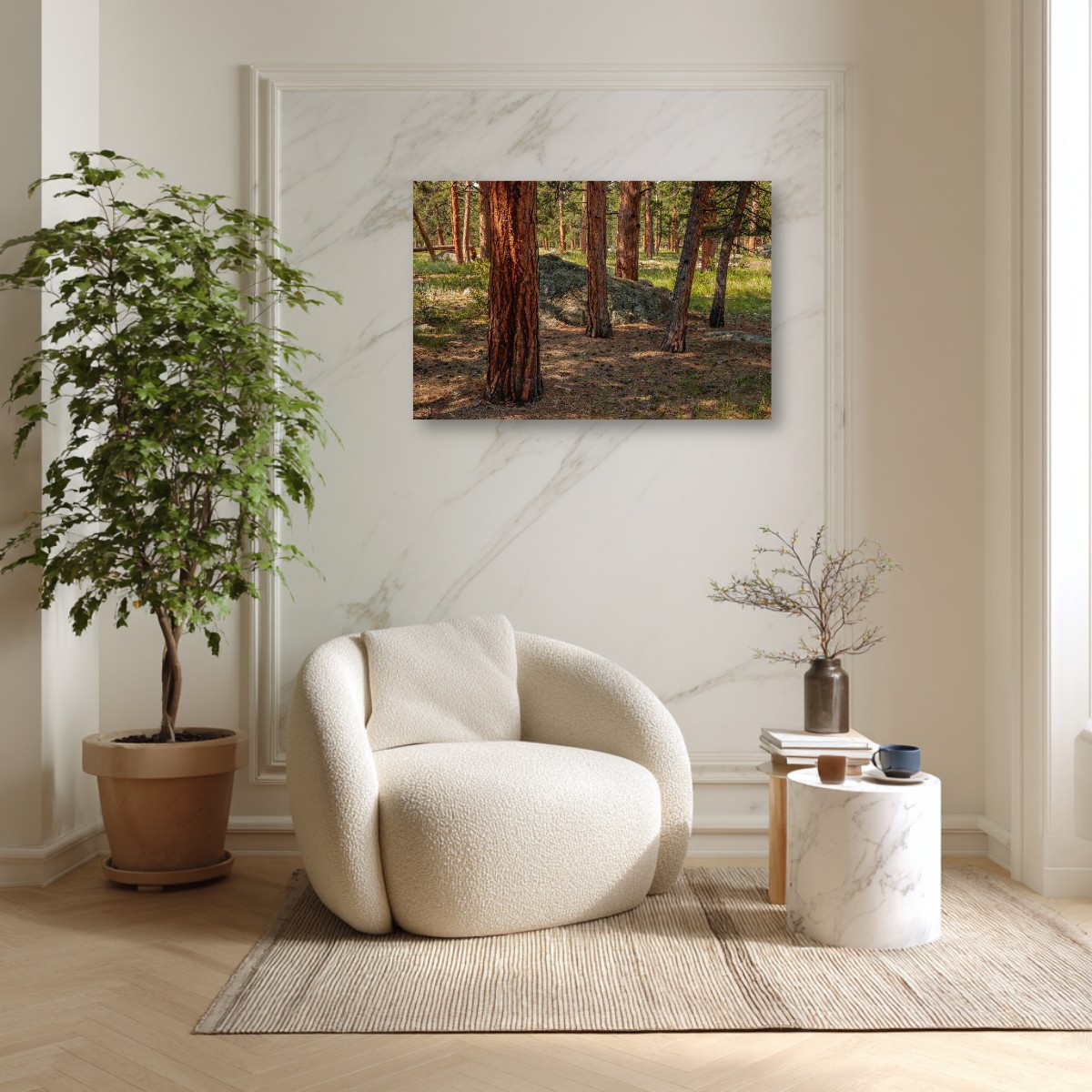 Ponderosa Pine Forest – Image 7
