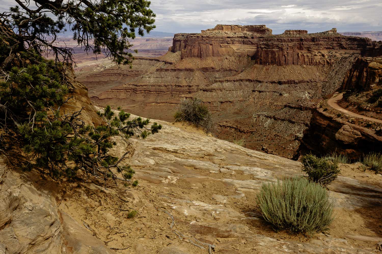 Where the Wind Sings – Image 1