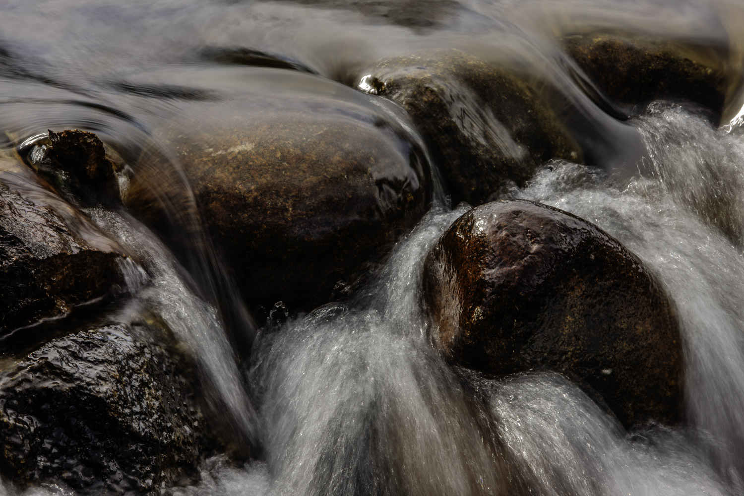 Captivating River – Image 1