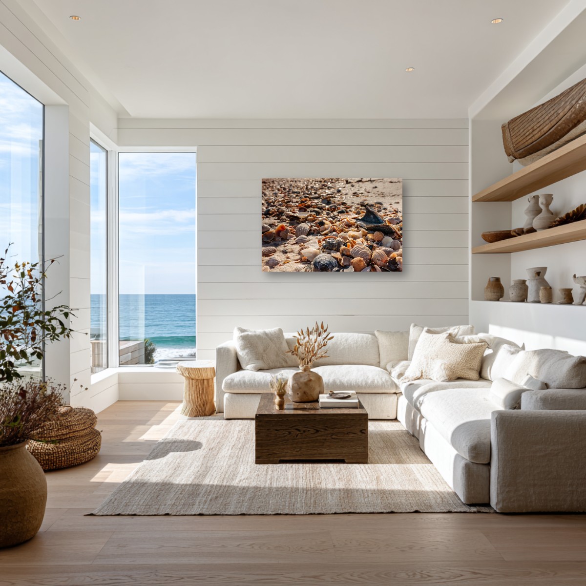 Gulf Coast Shells – Image 6