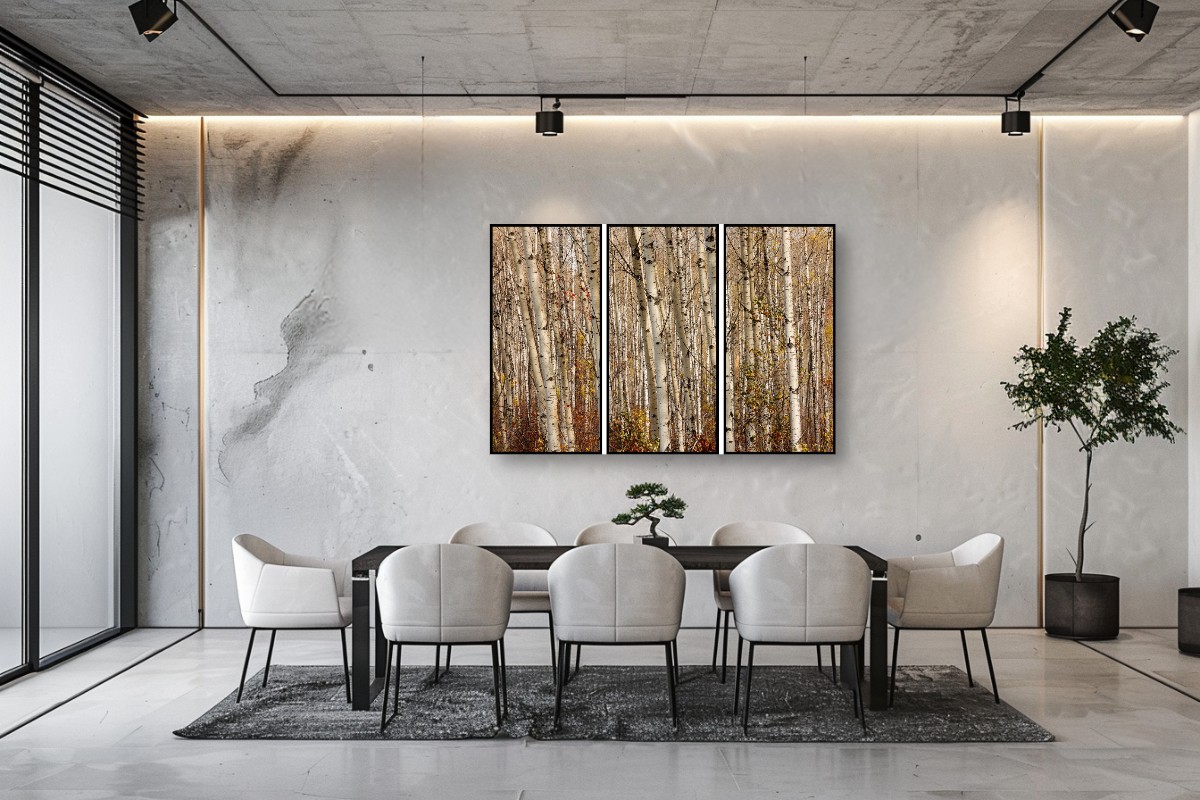 Birch and Aspen Forest - Triptych – Image 3
