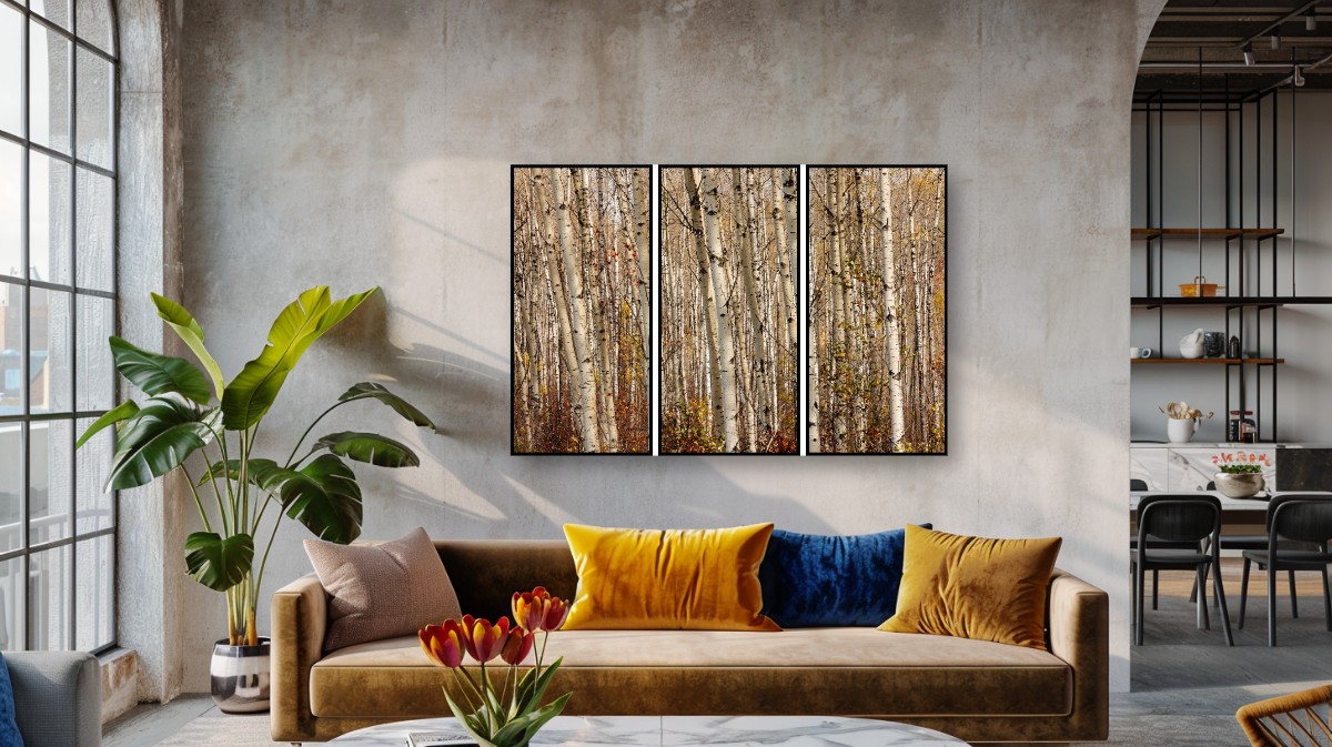 Birch and Aspen Forest - Triptych – Image 4