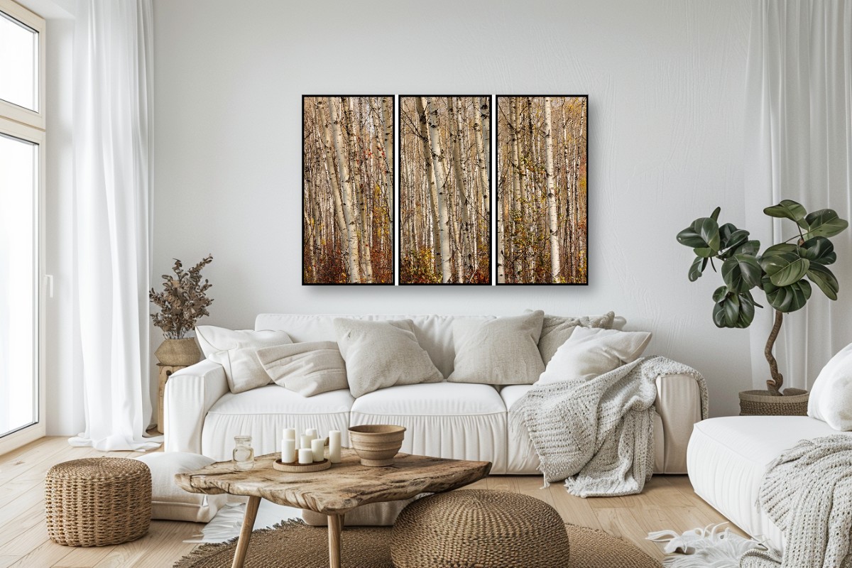 Birch and Aspen Forest - Triptych – Image 5