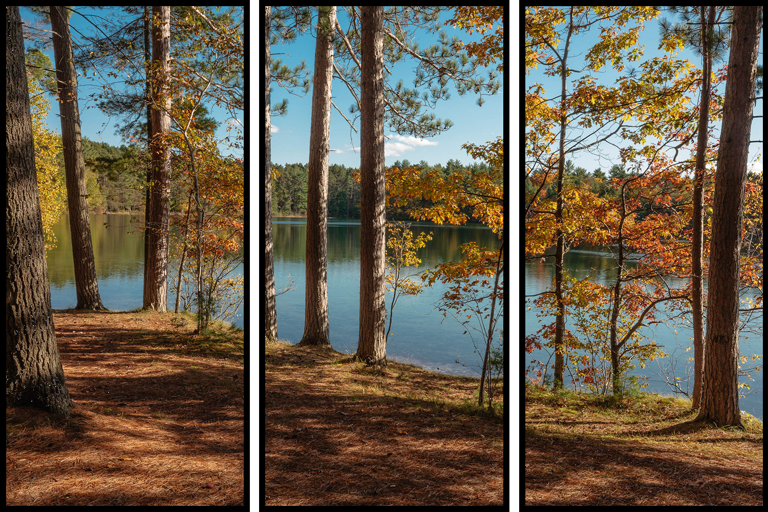 Firefly Lake Shoreline - Triptych – Image 1