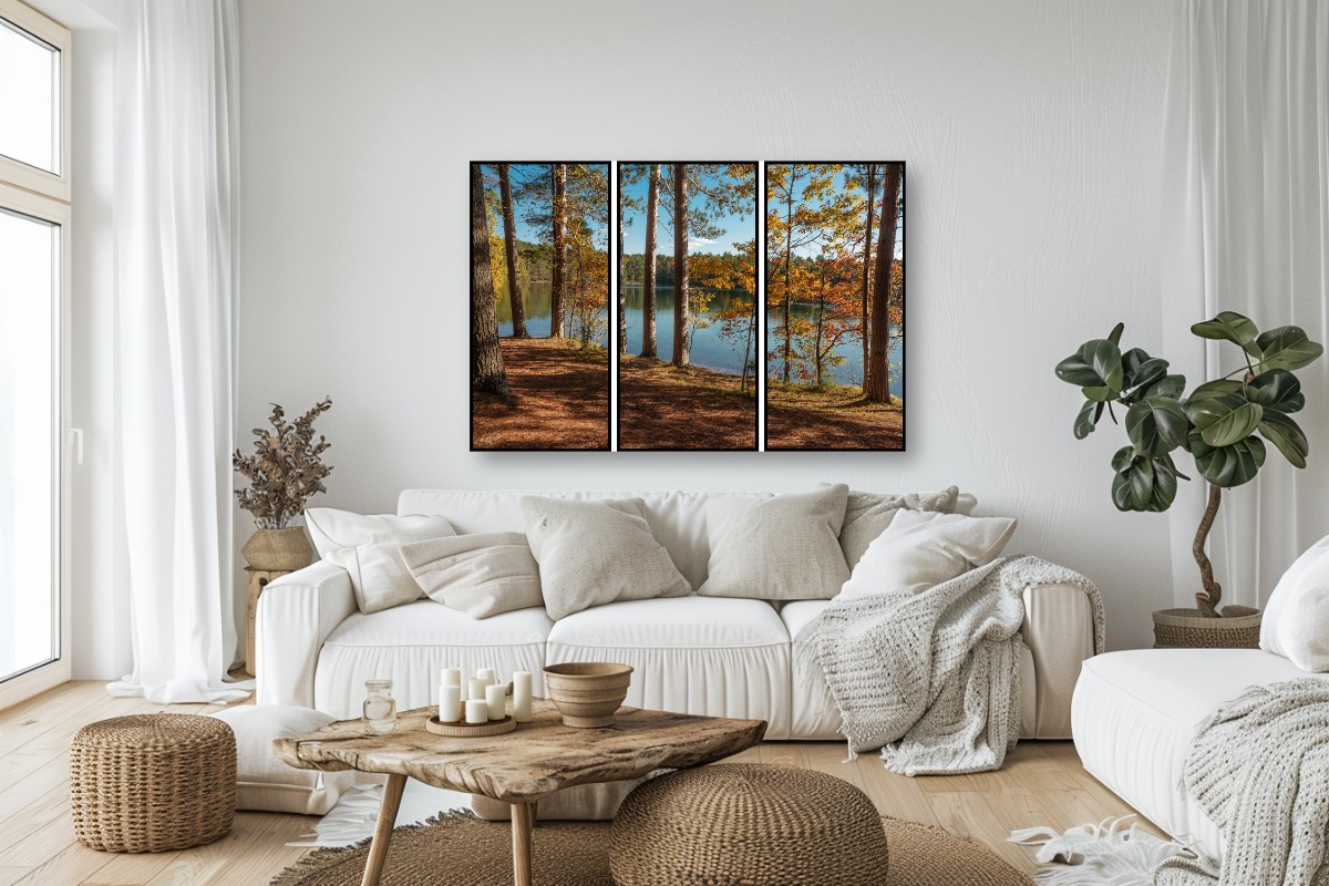 Firefly Lake Shoreline - Triptych – Image 6