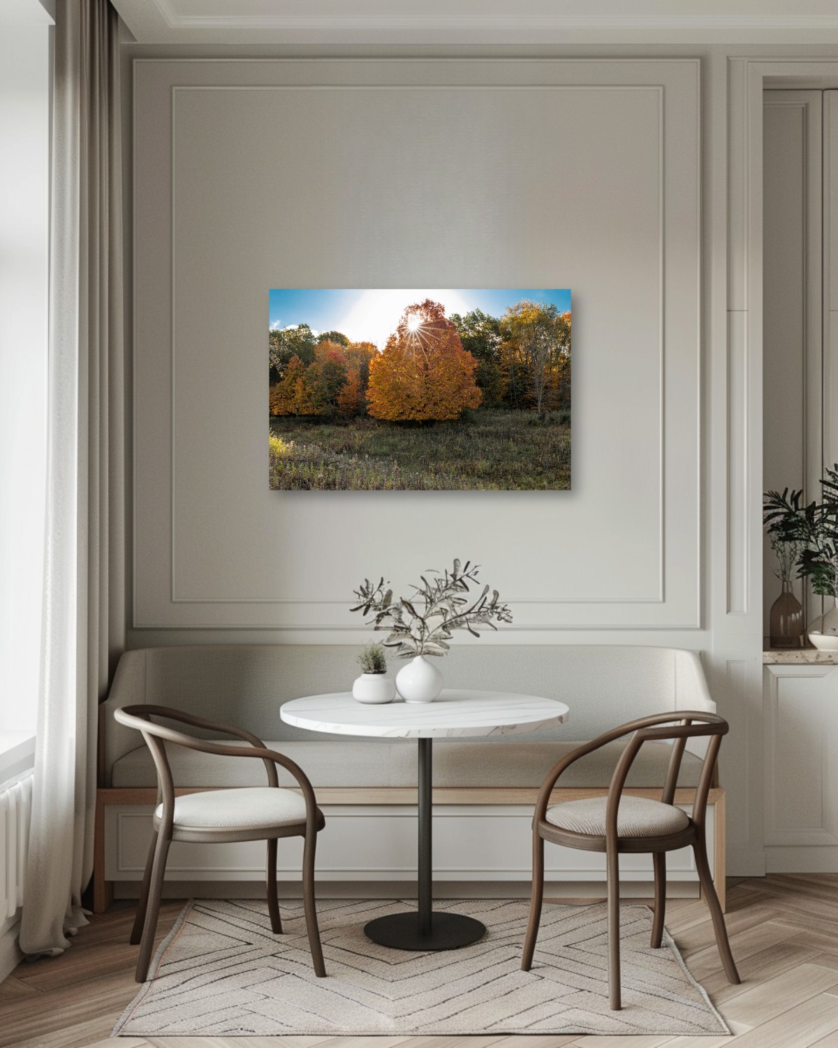 Maple Sunstar – Image 2