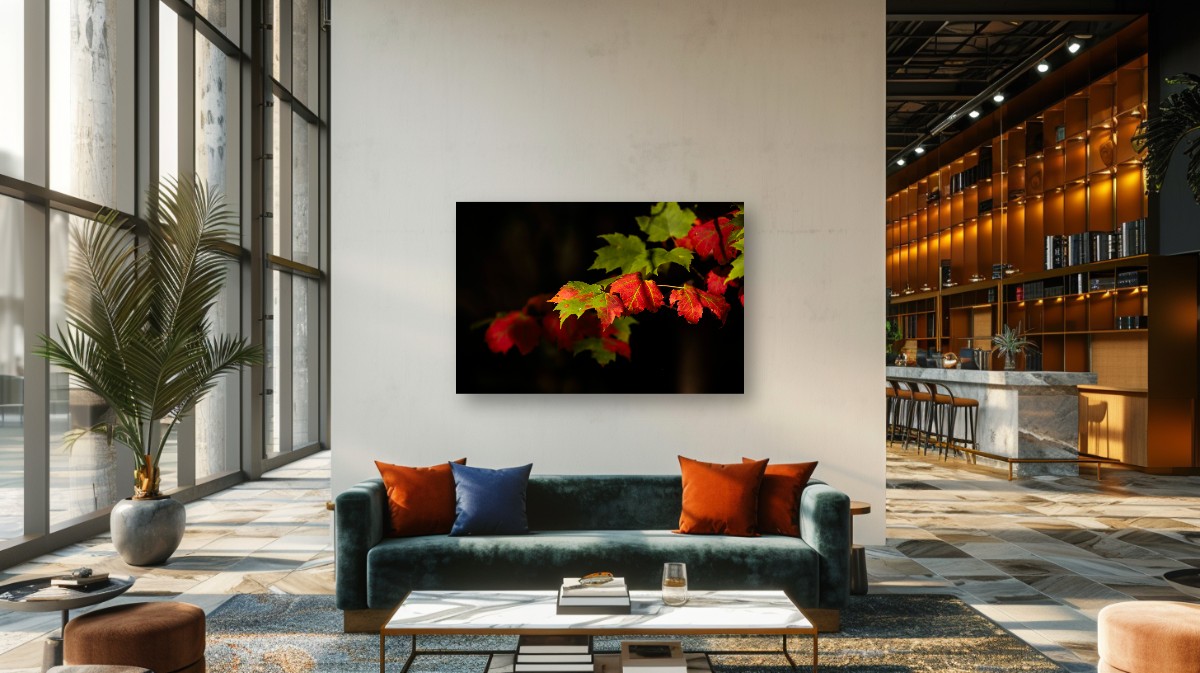 ISOLATED AUTUMN MAPLE BRANCH – Image 8