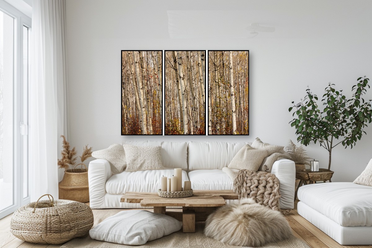 BIRCH & ASPEN FOREST - TRIPTYCH – Image 8