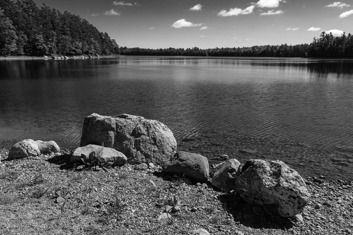 Boulders of Wonder – Dura Plaq  12 x 18"