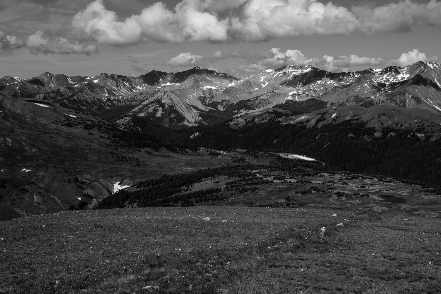 High Country Shadows – Dura Plaq 12 x 18"