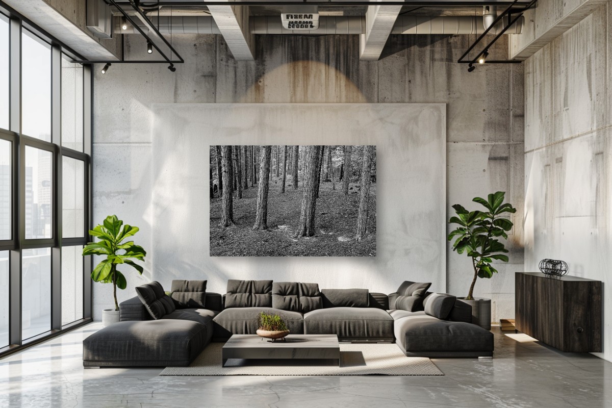 Autumn Stillness – Image 8