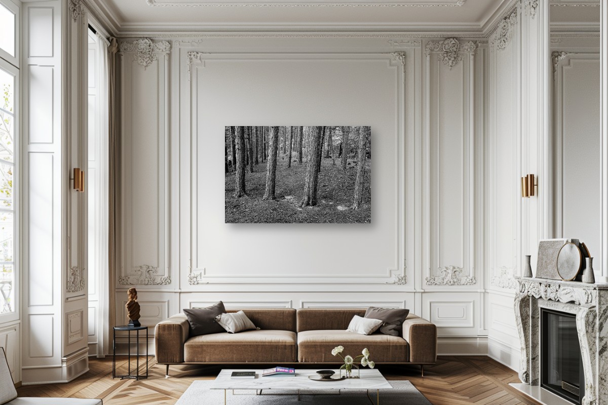 Autumn Stillness – Image 7