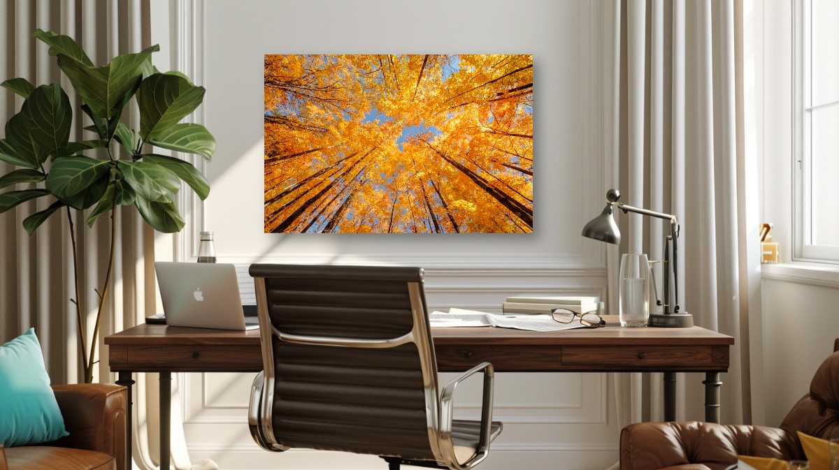 AUTUMN MAPLE CANOPY – Image 7