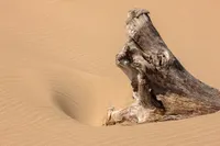 THE WIND'S CREATION – Image 1
