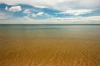 ALMOST TROPICAL – Image 1