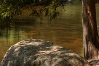 QUIET ALONG THE RIVER – Image 1