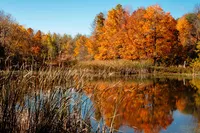 AUTUMN POND – Image 1