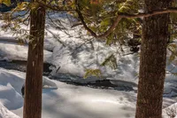 WINTER SOLITUDE – Image 1