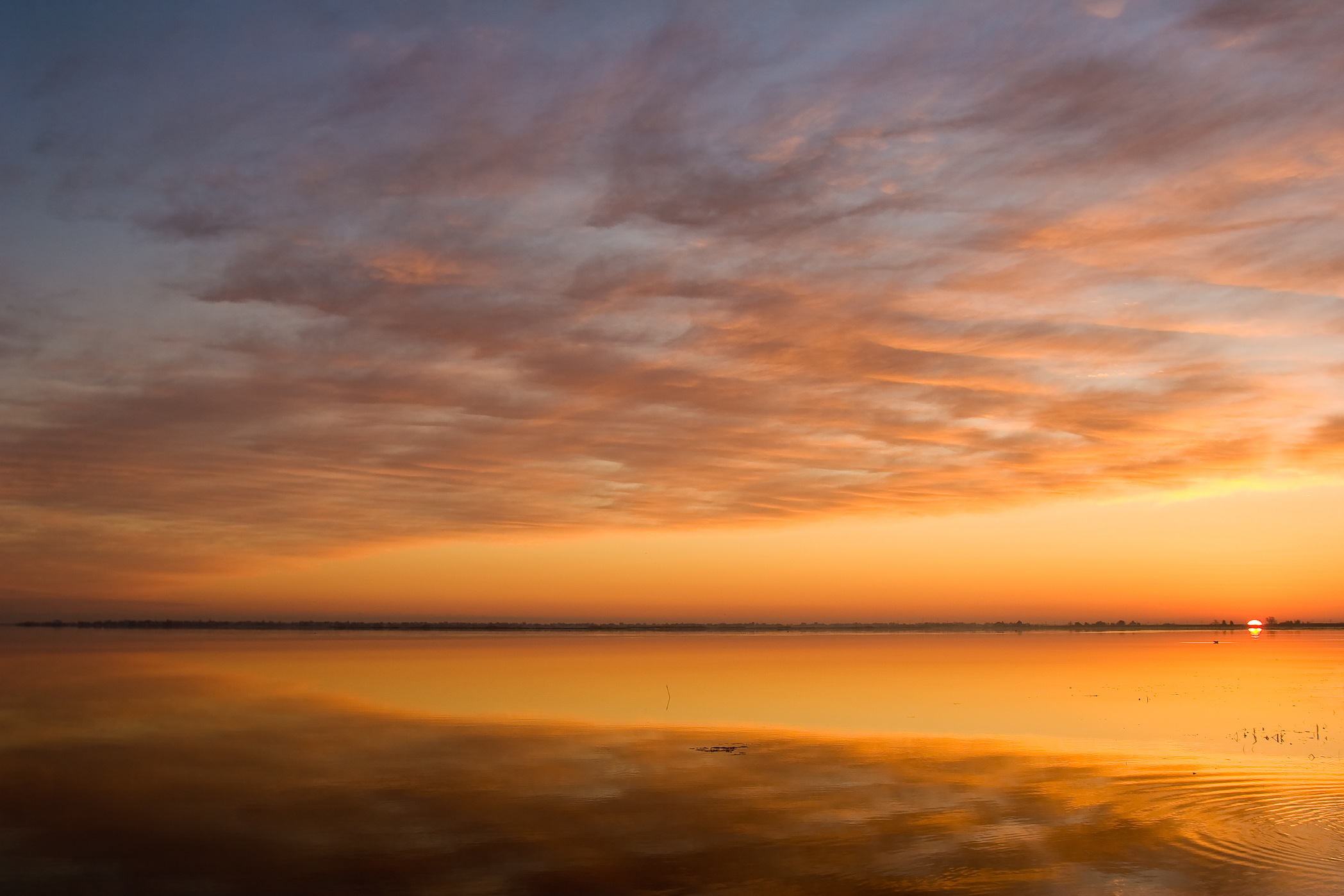 HORIZON #4 – Joppa Flats, Sunrise, Newburyport_MA – Image 1