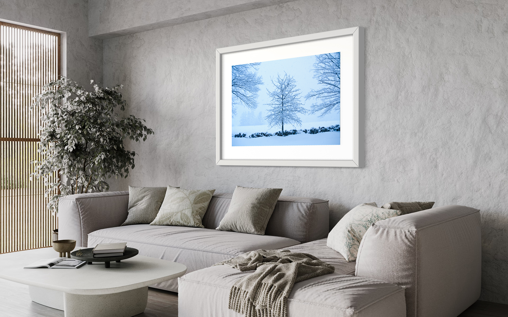 WINTER TREE – Newburyport, MA – Image 4