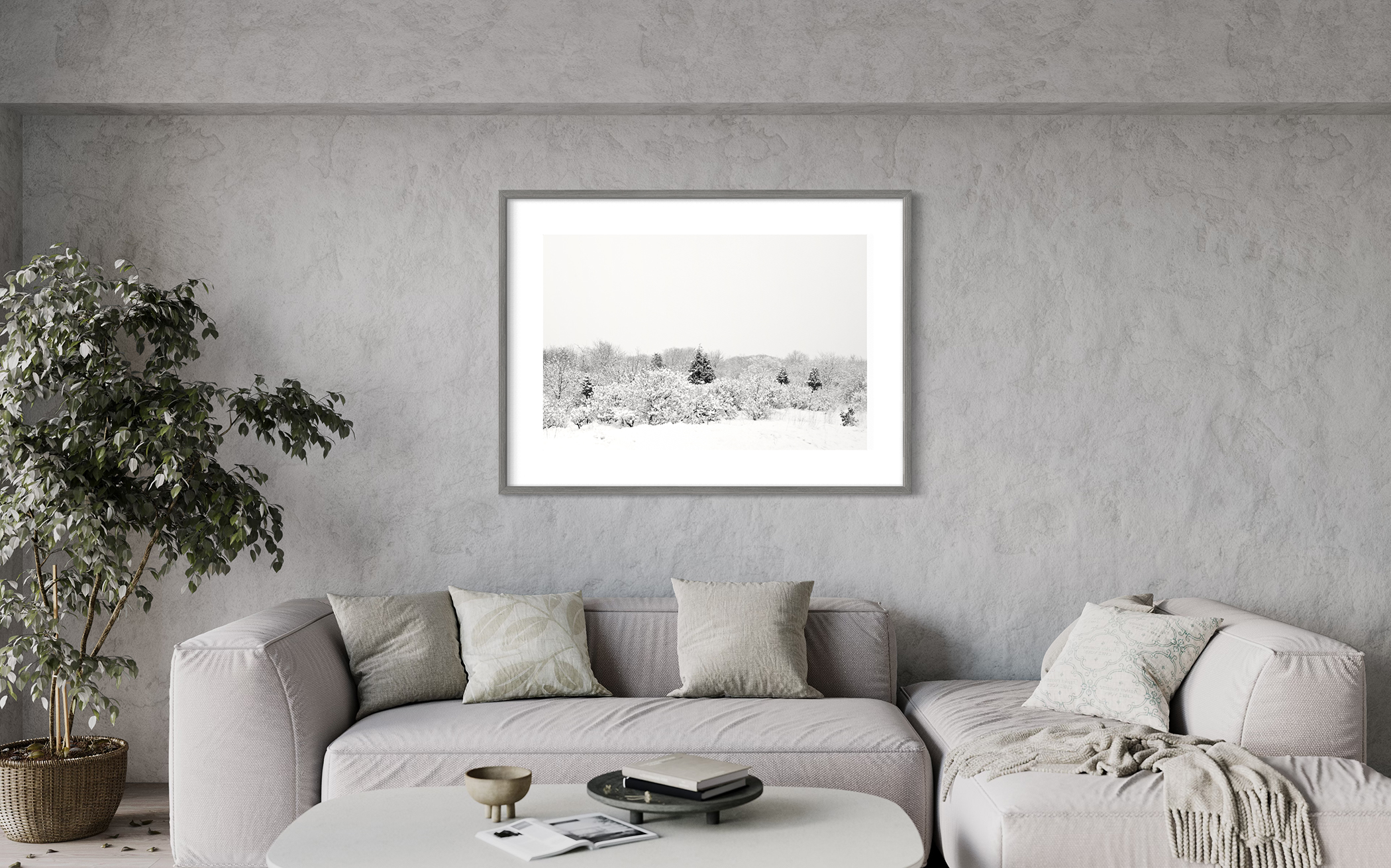 FIRST SNOW – Plum Island, Newbury, MA – Image 2
