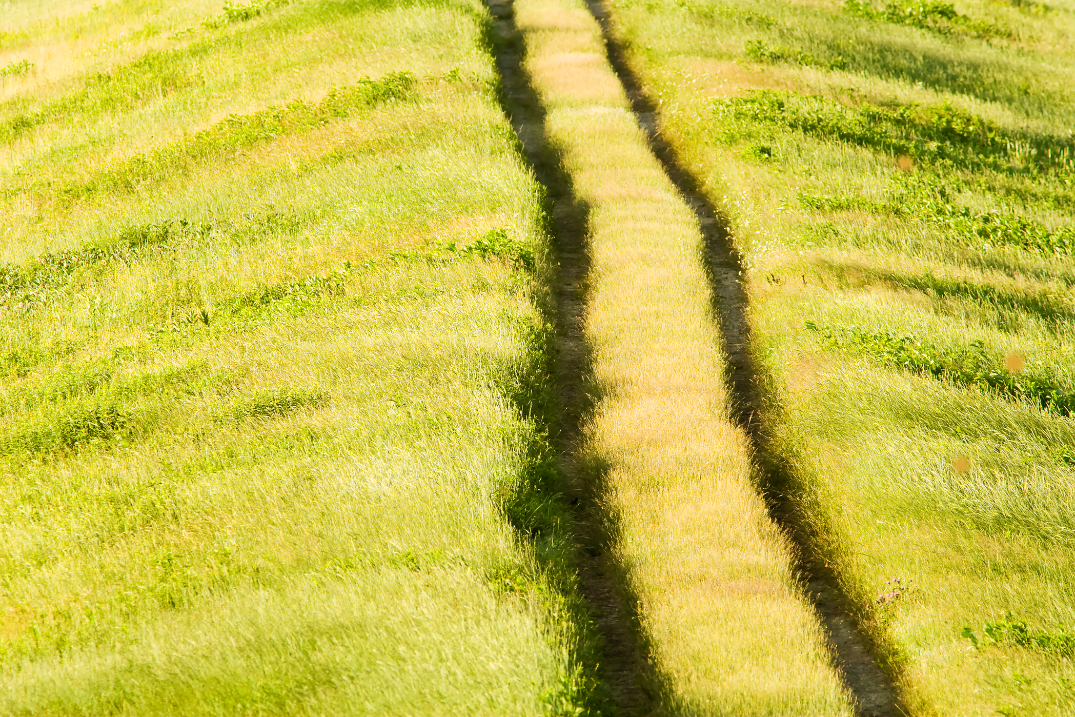 HELLCAT DIKE – Plum Island, Newbury, MA – Image 1