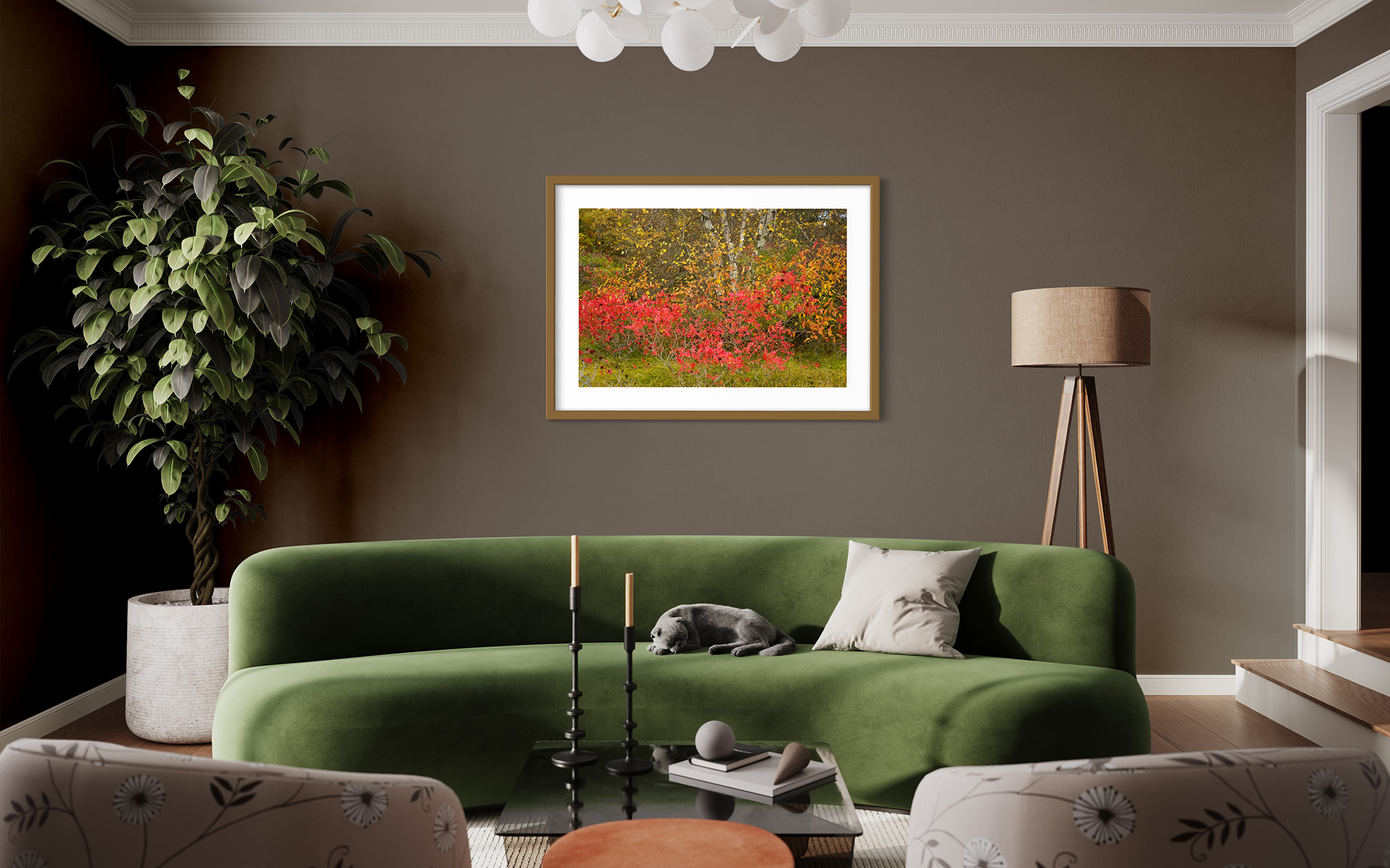 PLUM ISLAND BIRCH #1 – Plum Island, Newbury, MA – Image 3