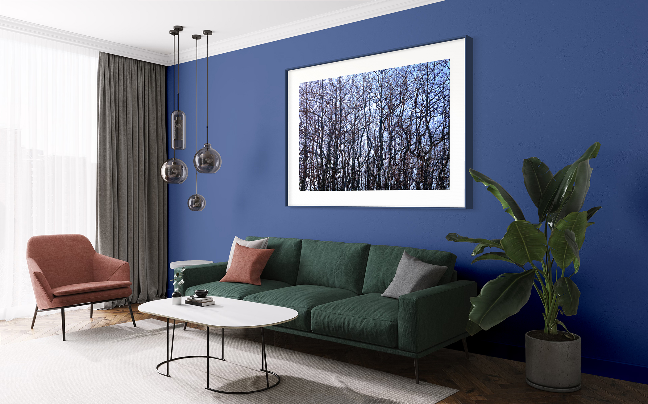 SASSAFRAS TREES #2 – Plum Island, Newbury, MA – Image 3