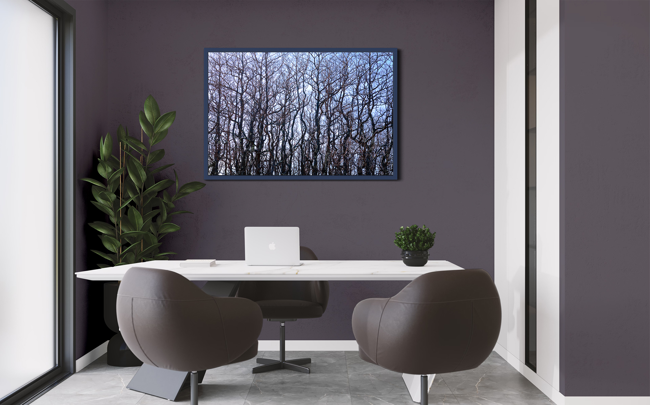 SASSAFRAS TREES #2 – Plum Island, Newbury, MA – Image 4