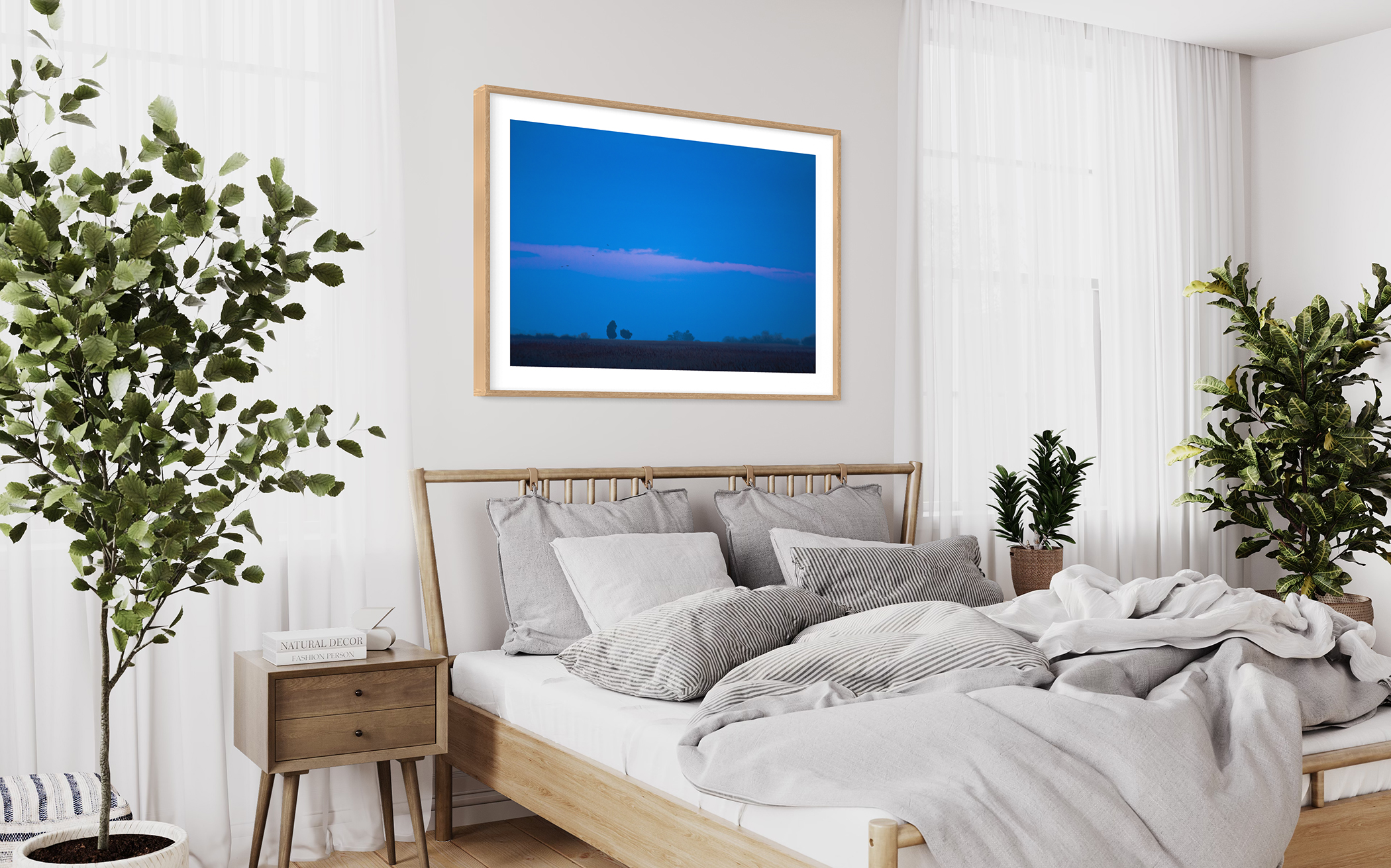 TWO CEDARS – Sunset, Plum Island, Newbury, MA – Image 3