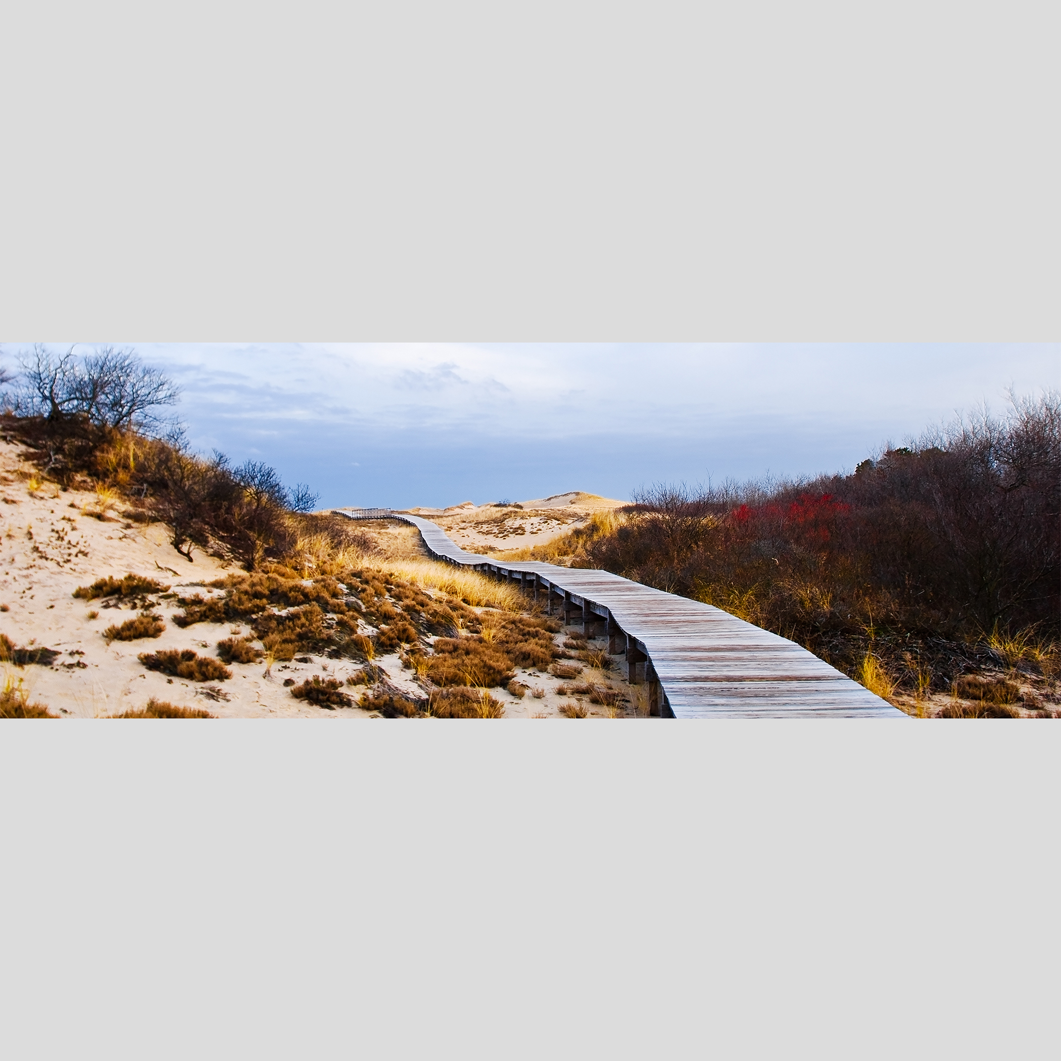 BOARDWALK #3 — Plum Island, Newbury, MA – Image 1