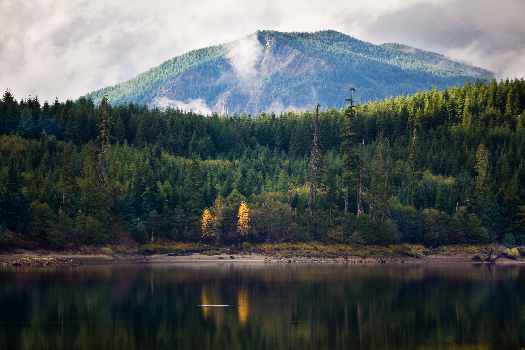 FISH RISE – Merrill Lake, Ariel, Washington – Image 1