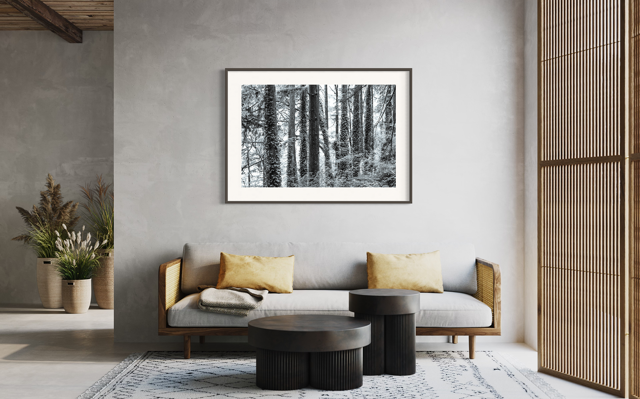 FOREST PARK – Portland, Oregon – Image 3