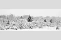 FIRST SNOW — Plum Island, Newbury, MA  – Image 1