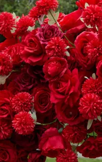 🌹Red Rose Romantic Heart Arch – Image 3