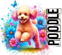 Adorable Dogs of All Kinds PNG Bundle – Image 3