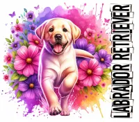 Adorable Dogs of All Kinds PNG Bundle – Image 9