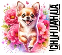 Adorable Dogs of All Kinds PNG Bundle – Image 1