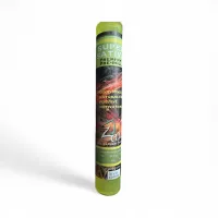 Rollies – Super Sativa