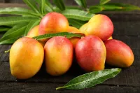Rollies – Mango Medley