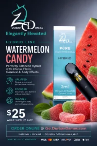 NEW Hybrid Vapes - 2ml – Image 2