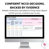 Complete NCCD Moderation Bundle: Presentation, Activities, Spreadsheets + Roles $ Responsibilities Framework – Image 4