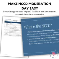 Complete NCCD Moderation Bundle: Presentation, Activities, Spreadsheets + Roles $ Responsibilities Framework – Image 2