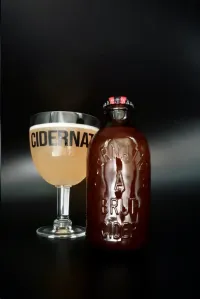 Productafbeelding