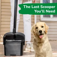 Poopy Scoopy COMING SOON | Pre-Order Available – Image 4