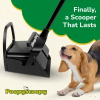 Poopy Scoopy COMING SOON | Pre-Order Available – Image 6