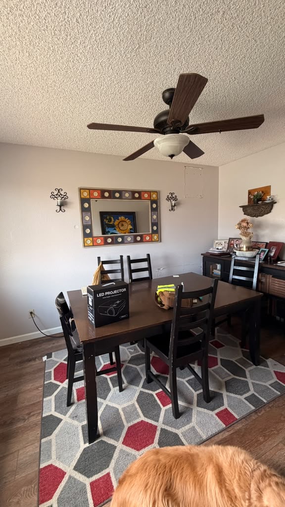 S Paseo Loma Cir, Mesa, AZ 85202 – Image 5